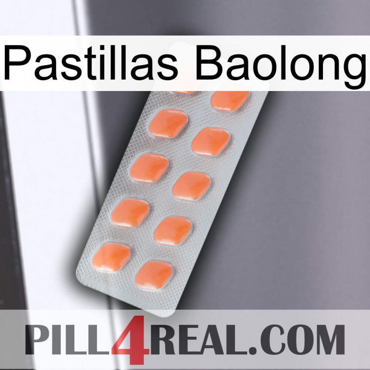 Baolong Pills 26